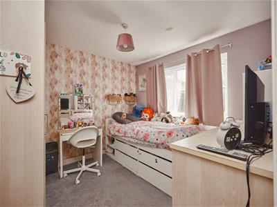 Picture 24